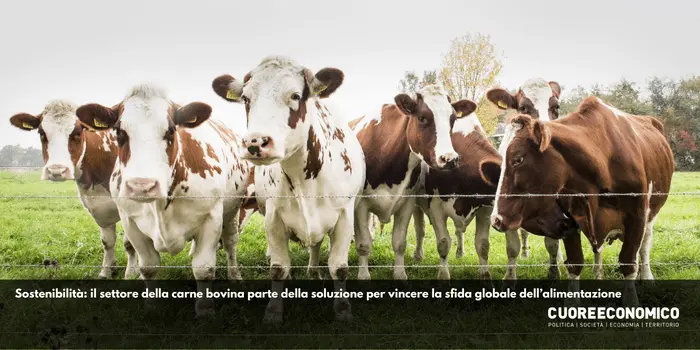  Efficienza e sostenibilità: il settore della carne bovina parte della soluzione per vincere la sfida globale dell’alimentazione
